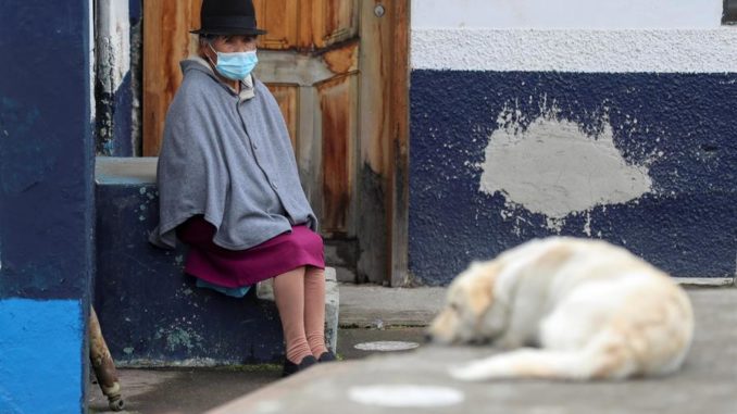 ecuador-covid-perro
