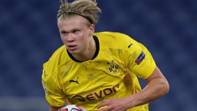 erling haalands