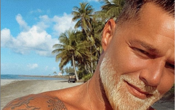 ricky martin vives