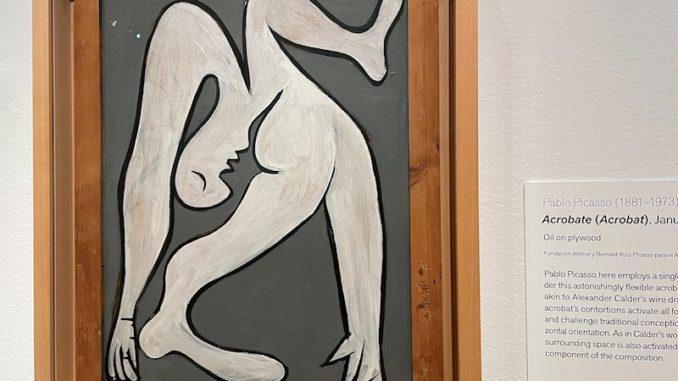 Picasso reabre el museo De Young de San Francisco tras el cierre por covid-19