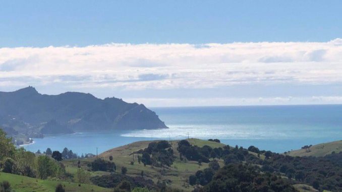 zelanda