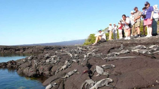 galapago pandemia