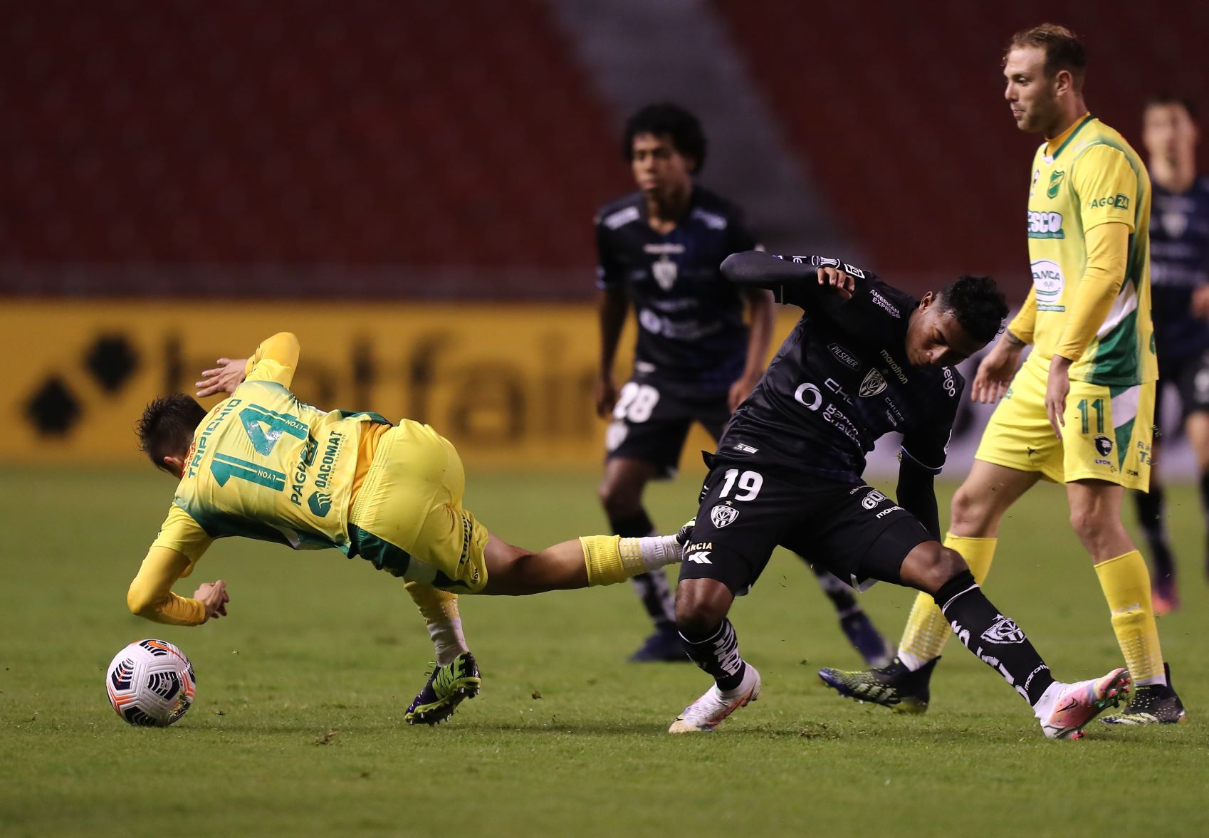 independiente libertadores