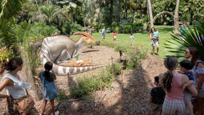 botanico miami 2