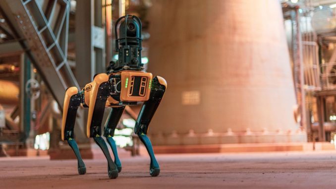 perro-roboticos