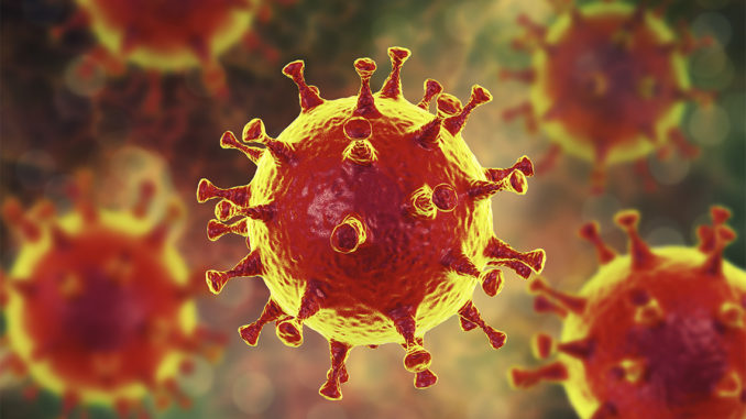 Imagen de computadora del coronavirus
