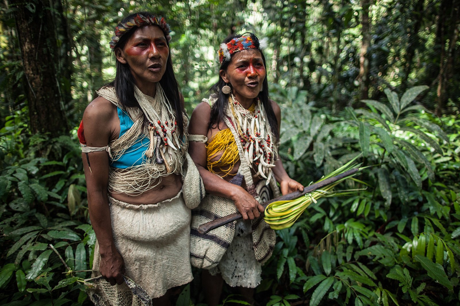 Ecuador vacuna a indígenas de zona intangible de la Amazonía