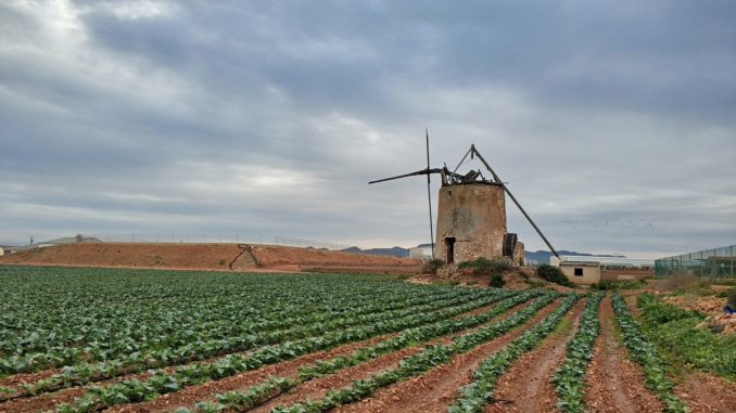 campo