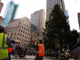 llega el arbol de navidad a Rockefeller center