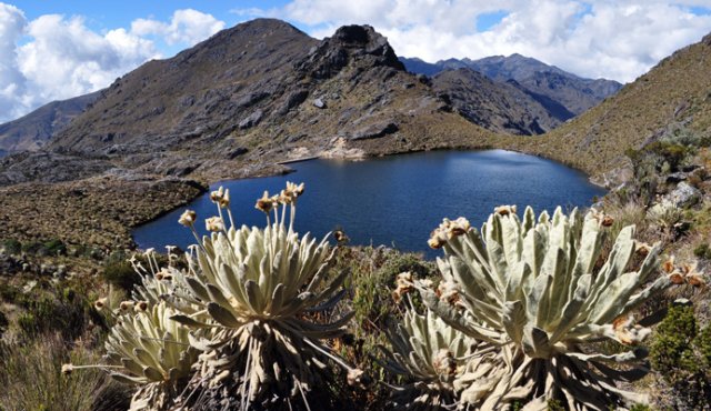 paramos