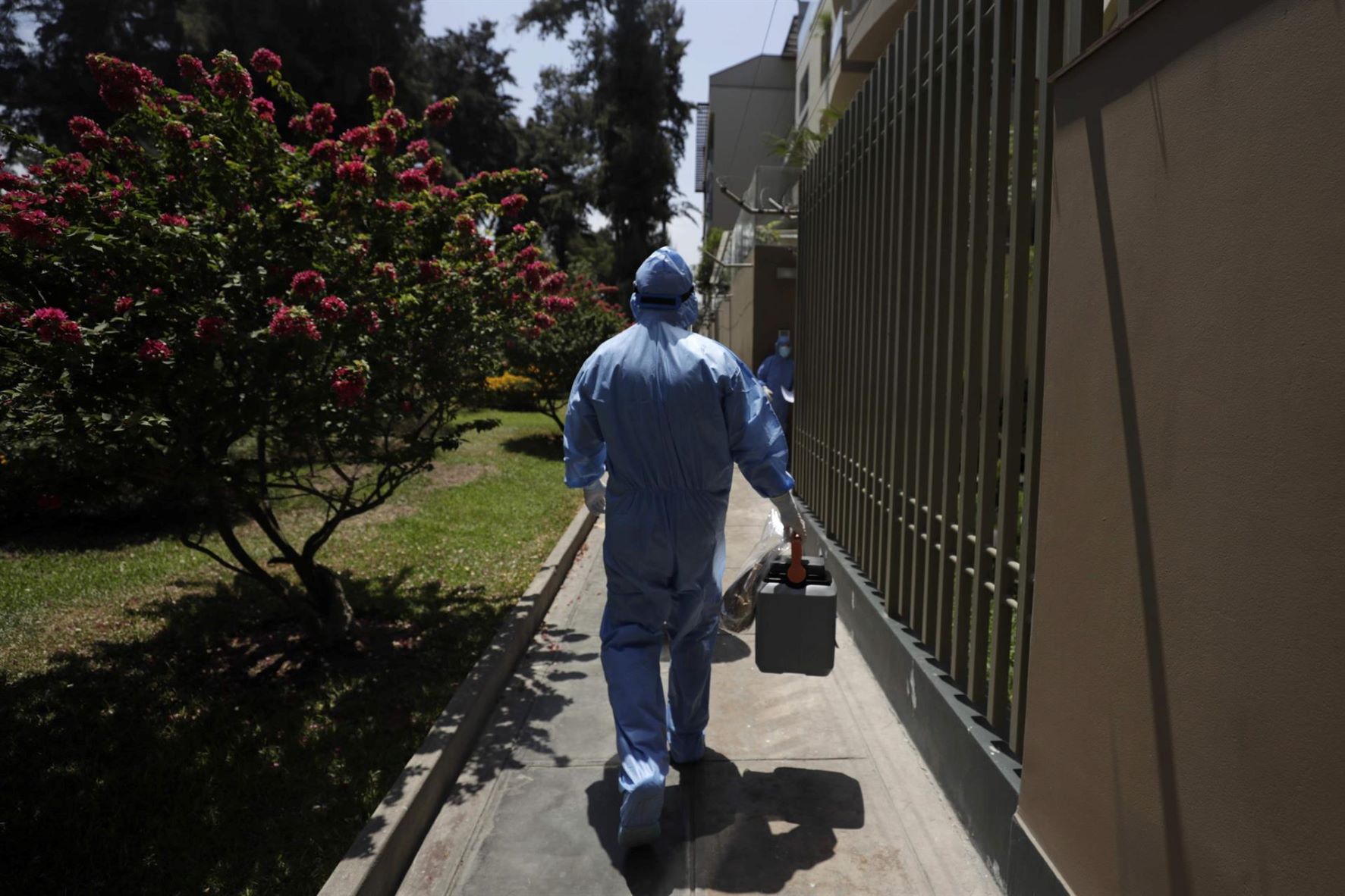 Perú identifica el primer caso de nueva variante «Pirola» de la covid-19