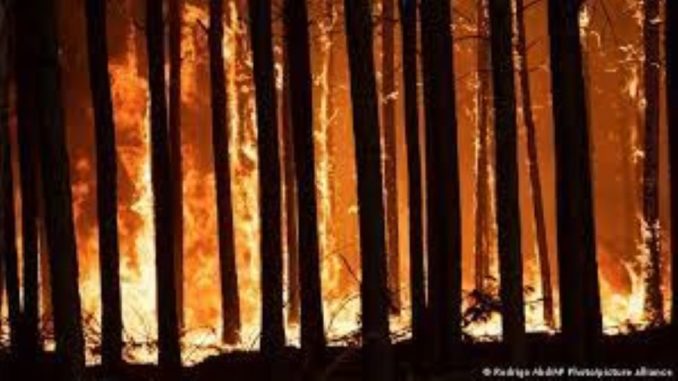 incendios argentina