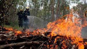 incendios guatemala no dan tregua a la biosfera