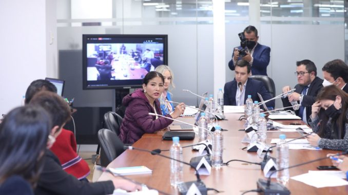comision desarrollo económico