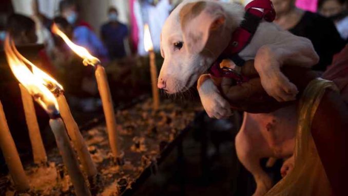 Católicos nicaragüenses ofrecen sus mascotas en festividad de San Lázaro