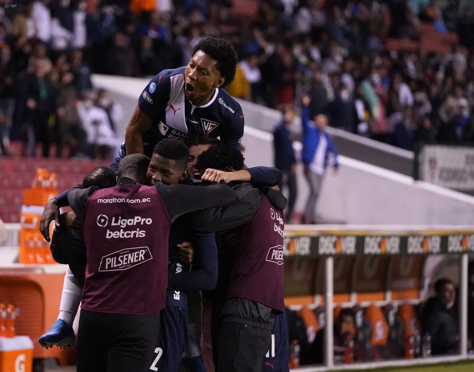 liga delfin
