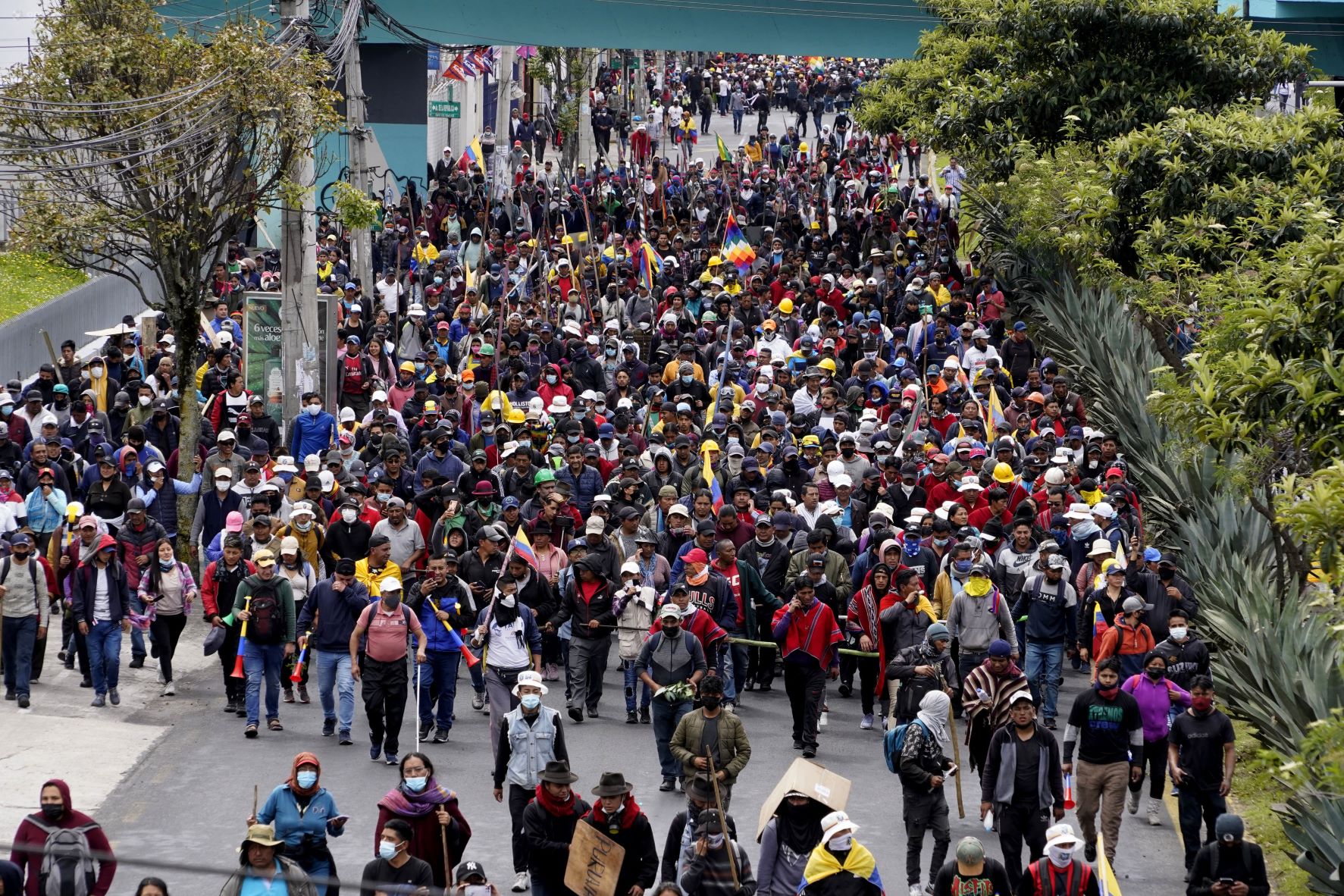 iza recorre marcha