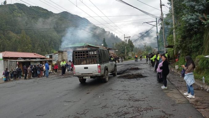 molleturo