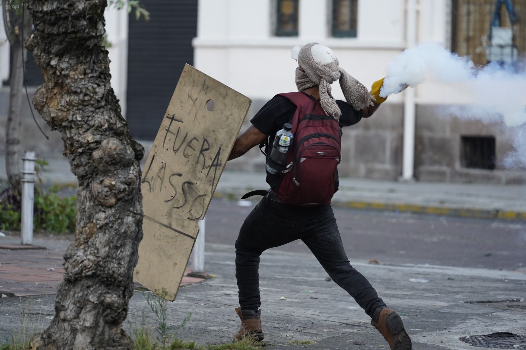 protestas dos