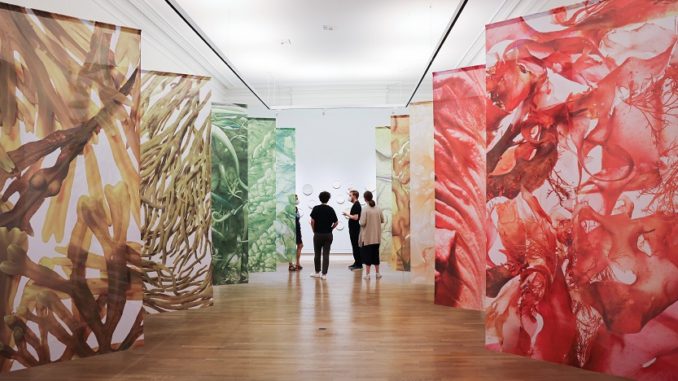 Exposición "Ask Me if I Believe in the Future" en Hamburgo