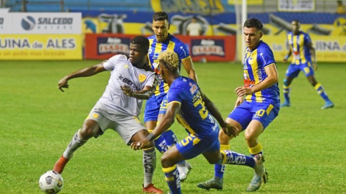 delfin aucas