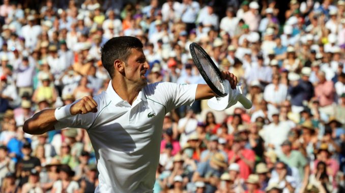djokovic finalista