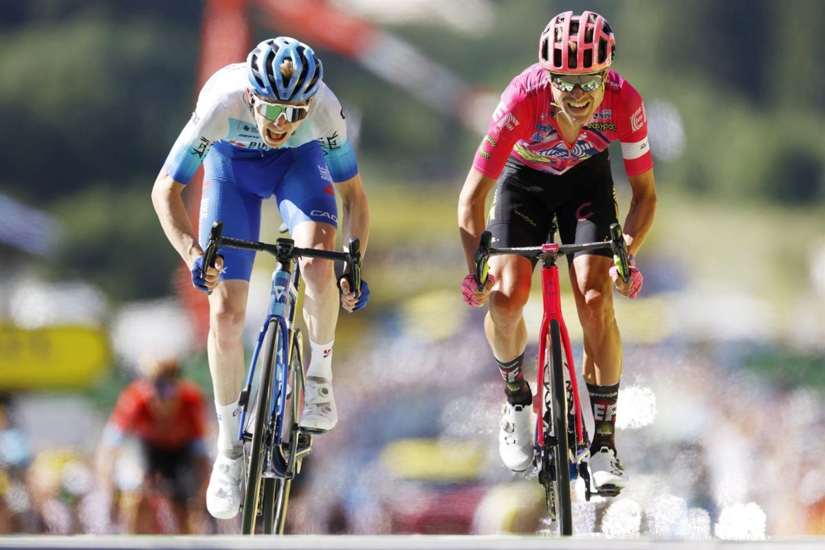 Tour de Francia 2022: Michael Rasmussen: Vingegaard tiene más  posibilidades que Roglic, en el Jumbo es el número uno