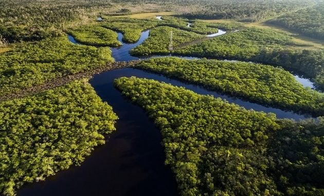 Amazonía