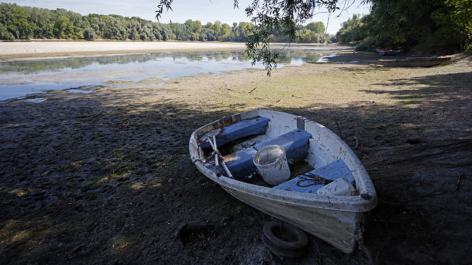 Bajo nivel de agua en el Rhin en Ketsch