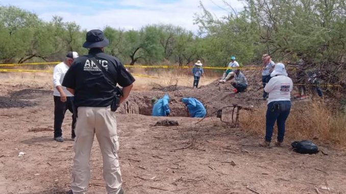 fosas clandestinas búsqueda de desaparecidos