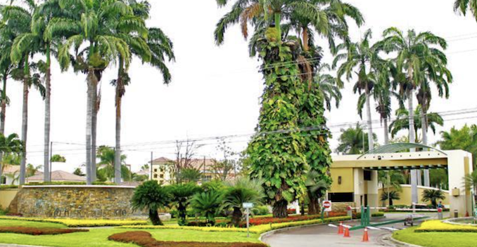 isla dorada