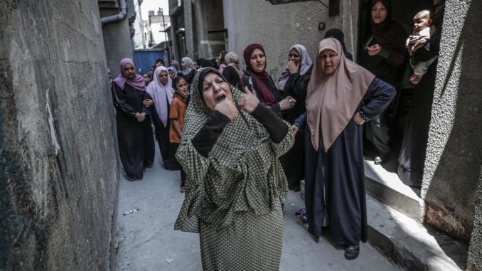 palestiana cese al fuego