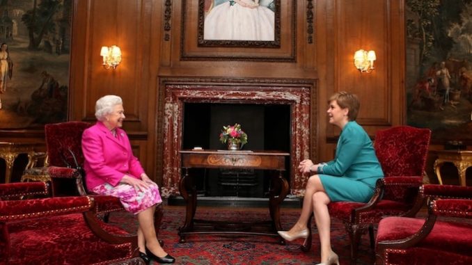 sturgeon