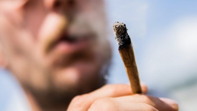 Cannabis