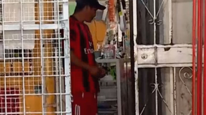 Sin título