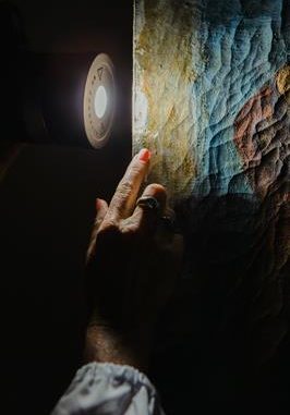 Artimisia en el techo