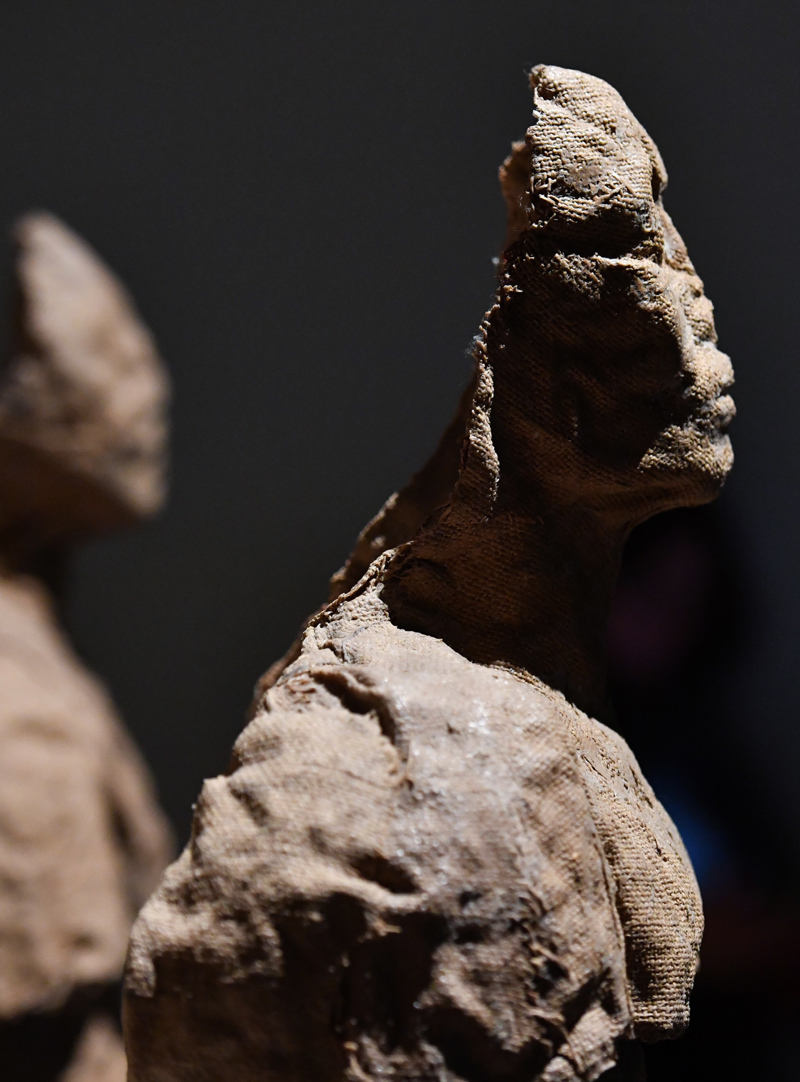 Exposición escultórica en el Castillo Real de Varsovia ‘Abakanowicz. Confrontations’