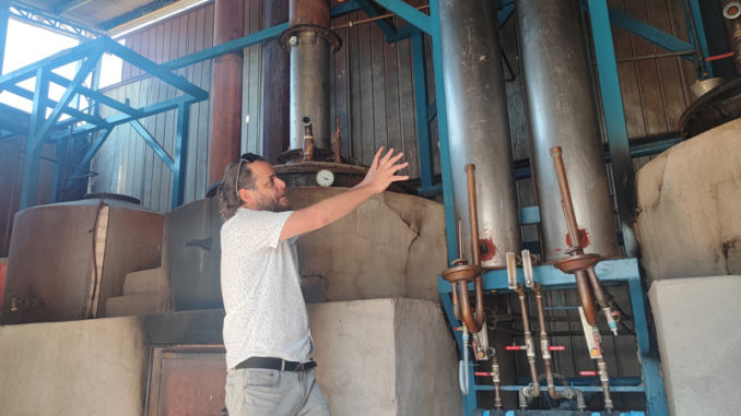 El pisco chileno busca convertir sus viñedos en patrimonio de la Unesco