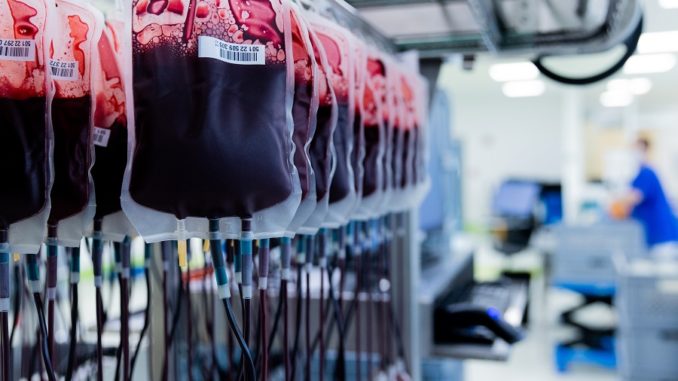 Legislarán para que homosexuales puedan donar sangre sin trabas