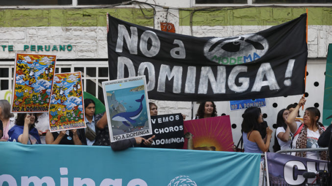Gobierno de Chile rechaza polémico proyecto minero cercano a reserva única