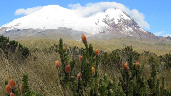 chimborazo