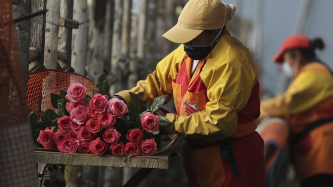 flores