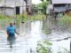 Salitre, Guayas, domingo 23 de abril del 2023 Fuertes jornadas de lluvias han causado estragos en varias provincias del pa√≠s, en el cant√≥n Salitre, en la provincia del Guayas, el desbordamiento del r√≠o a causa del caudal de la represa Daule-Peripa a dejado anegadas la calles, cultivos y viviendas. En la gr√°fica calles de la parroquia Junquillal, lucen cubiertas por el agua. Fotos:C√©sar Mu√±oz/API