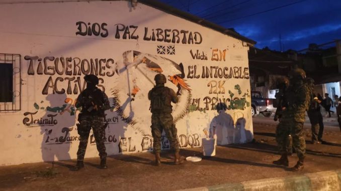 Tiguerones