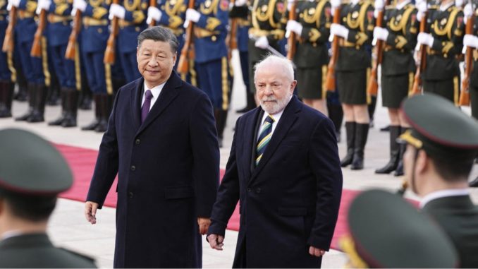 lula xi