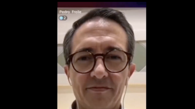 freile peluche