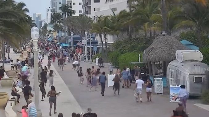 hollywood beach