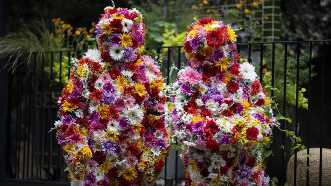 jardin carlos y su mama