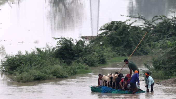 Yamuna river flows above danger mark in Delhi