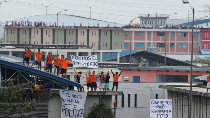 GYE-PROTESTA PPL
